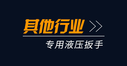 其他行業(yè)專用液壓扳手
